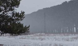 Kars'ta 27 köy yolu ulaşıma kapandı