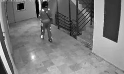 Kurye sipariş getirdiği binaya tuvaletini yaptı
