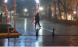 Meteoroloji uyardı, Tekirdağ'da kuvvetli yağış etkili oldu