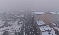 Muş'ta kar yağışı etkili oldu
