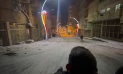 Pervari'de vatandaşlar kar yağışının tadını kayarak çıkardı