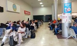 Samsun'da yolcu uçağı martı sürüsüne çarptı