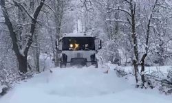 Şırnak'ta yoğun kar nedeni ile bazı yollar ulaşıma kapandı