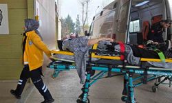 Ticari araç ağaca çarptı: 1'i çocuk 2 yaralı