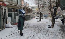 Tunceli'de kar yağışı etkisini artırdı