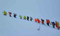 Van'da kar nedeniyle yol kapandı, rota Toprakkale'ye çevrildi