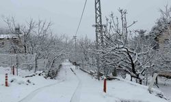 Yaz şehri Mersin'de kar birçok mahalleyi beyaza bürüdü