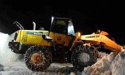 Şırnak’ta etkili olan yoğun kar yağışı yaşamı olumsuz etkiliyor