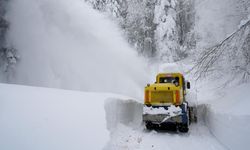 Doğu’da Kar Kâbusu: Ulaşım Felç