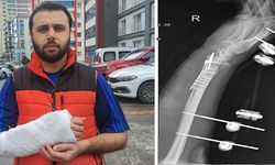 Başıboş Köpek Kâbusu: 11 Platin Takıldı