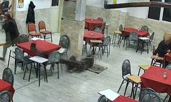 “Sobaya Dökülen Kolonya Facianın Eşiğinden Döndürdü: Patlama Kamerada”