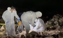 8 gün sonra gölette bulundu: Elif Kumal'ın ölüm nedeni belli oldu