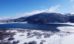 Abant Gölü'nde kış güzelliği