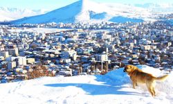 Afşin'de kar sonrası manzara hayran bıraktı