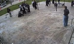 Akran zorbalığı sokağa taştı: Esnaf genci darp edilmekten kurtardı