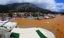 Akyaka'da denizin rengi kahverengiye döndü