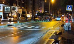 Antalya'da fırtına palmiye ağacını ikiye böldü