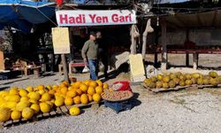 'Araştırmacı kavuncu dede' ata tohumlarını geleceğe taşıyor