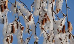 Ardahan'da Sibirya soğukları devam ediyor