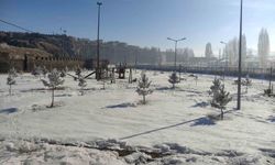 Ardahan'da Sibirya soğukları hayatı olumsuz etkiliyor