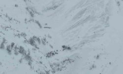 Artvin'de çığ altında kalan çobanları arama çalışmaları havadan görüntülendi