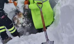 Artvin'de çığ bölgesinde arama kurtarma çalışmaları ikinci günde yeniden başladı