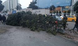 Bahçelievler'de şiddetli rüzgar nedeniyle ağaç devrildi: 1 kişi altında kaldı