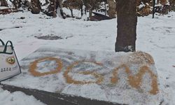 Batman'da yaban hayatı unutulmadı