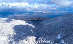 Beyaz, mavi ve yeşil birleşti: Eşsiz manzara mest etti
