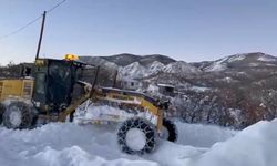 Bingöl'de kapalı köy yollarının büyük bölümü ulaşıma açıldı: 24 köy yolunda çalışmalar sürüyor