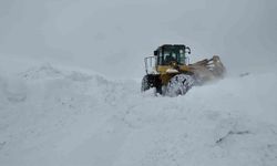 Bingöl'de karla mücadele sürüyor: Açılan bazı köy yolları tipi nedeniyle yeniden kapandı