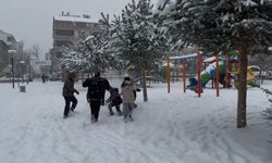 Bingöl'de yoğun kar yağışı