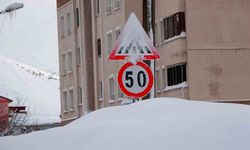 Bitlis kara gömüldü: 294 köy yolu ulaşıma kapandı