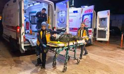 Bursa'da motosiklet yayalara çarptı: 1'i ağır 2 yaralı