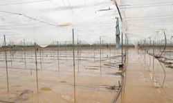 Büyükşehir, yağıştan etkilenen 3 ilçe için hasar tespit çalışması başlattı