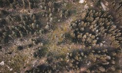 Çanakkale'de Türklerin Balkanlara geçişindeki ilk mezarlık keşfedildi