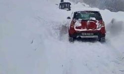 Çatak'ta çığ düştü: Sürücü son anda kurtuldu