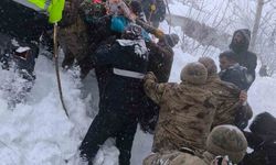 Çatak'ta çığın altında kalan kadın yaşamını yitirdi