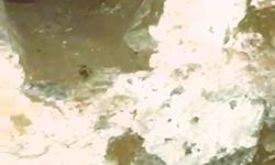 Defineciler 300 yıllık tarihi hamamı talan etti