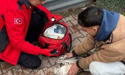 Denizde can mücadelesi: Martıyı 911 ekipleri kurtardı