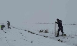 Diyarbakır'da ekipler kayıp kadını bulmak için seferber oldu