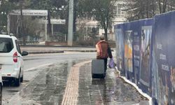 Diyarbakır'da kar yağışı yeniden başladı