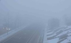 Düzce'de sis ve soğuk hava etkili oluyor