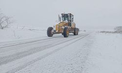Edirne'de kar kent merkezinde etkisini azalttı, ilçelerde kar küremesi devam ediyor