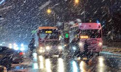 Edirne'de yoğun kar yağışı etkili oluyor