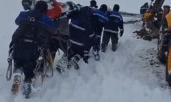 Ekipler enerji için seferber oldu: Ekipler direkleri sırtında taşıdı