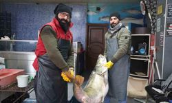 Elazığ'da yakalanan 78 kilogram ağırlığındaki turna balığını iki kişi zor taşıdı