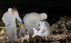 Elif Kumal'ın cansız bedeni 8 metre derinlikteki aracının içinde bulundu