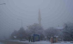 Erzurum'da sis ulaşımı aksattı