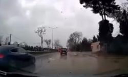 Fırtınanın ağacı devirme anı kamerada